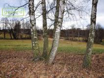 Prodej zemědělské půdy, Trhové Sviny, 4674 m2