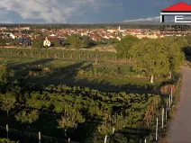 Prodej zahrady, Vranovice, 350 m2