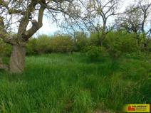 Prodej zahrady, Znojmo, 609 m2