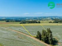 Prodej zemědělské půdy, Prosečné, 40000 m2