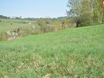 Prodej pozemku pro bydlení, Domašov nad Bystřicí, 11569 m2