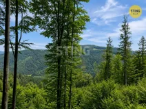 Prodej louky, Košařiska, 6262 m2