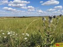 Prodej pozemku pro komerční výstavbu, Znojmo - Mramotice, 8168 m2