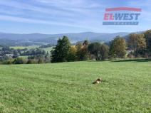 Prodej trvalého travního porostu, Stachy, 15932 m2