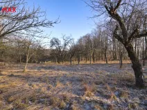 Prodej pozemku pro bydlení, Březnice, 2661 m2