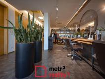 Pronájem - jiné, Olomouc, Legionářská, 66 m2