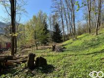 Prodej pozemku pro bydlení, Malá Skála, 3895 m2