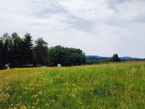 Prodej komerční nemovitosti, Frymburk, 1779 m2