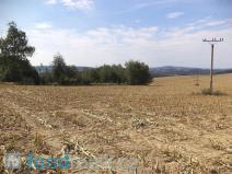 Prodej zemědělské půdy, Zruč nad Sázavou, 5988 m2