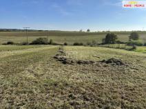 Prodej pozemku pro bydlení, Černé Voděrady, Černokostelecká, 1244 m2