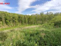 Prodej lesa, Vladislav, 17681 m2