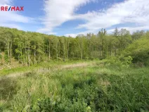 Prodej lesa, Číměř, 17681 m2