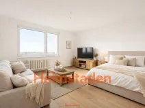 Pronájem bytu 1+1, Horní Suchá, Stavební, 38 m2