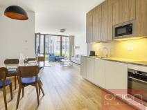 Pronájem bytu 2+kk, Praha - Smíchov, Holečkova, 114 m2