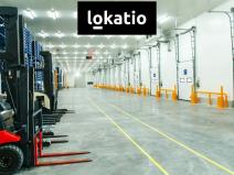 Pronájem výrobních prostor, Hustopeče, 3355 m2