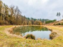 Prodej rybníku, Mladoňovice, 11304 m2