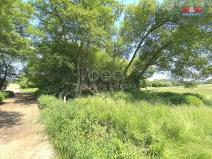 Prodej louky, Bukovany, 1264 m2