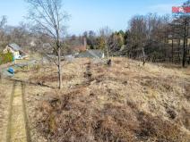 Prodej pozemku pro bydlení, Vlčice, 5869 m2