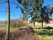 Prodej pozemku pro bydlení, Žatec - Milčeves, 4163 m2