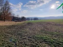 Prodej pole, Staré Sedliště - Nové Sedliště, 47205 m2