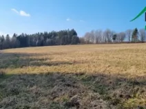 Prodej pole, Halže - Svobodka, 642424 m2