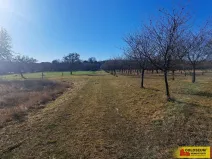 Prodej pole, Štěchov, 4979 m2