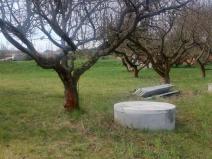 Pronájem zahrady, Olomouc - Slavonín, 310 m2