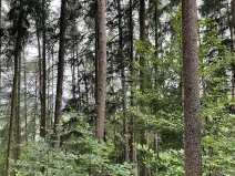 Prodej pozemku, Bohdíkov, 14508 m2