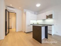 Pronájem bytu 2+kk, Praha - Nusle, Pod Děkankou, 70 m2