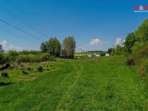 Pronájem louky, Dýšina, 4754 m2