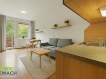 Prodej bytu 1+kk, Všemina, 25 m2