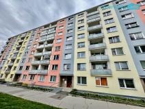 Pronájem bytu 1+kk, Cheb, Palackého, 20 m2