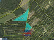 Prodej lesa, Jevíčko, 70821 m2