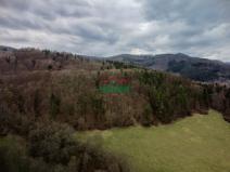 Prodej lesa, Stráž nad Ohří, 36852 m2