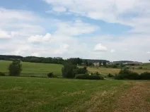 Prodej louky, Jankov, 18122 m2