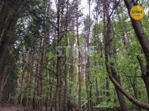 Prodej lesa, Suchá Loz, 10502 m2