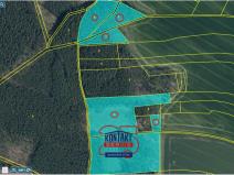 Prodej lesa, Bítouchov, 100105 m2