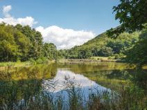 Prodej louky, Vojkovice - Jakubov, 399465 m2