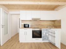 Pronájem bytu 1+kk, Ostrava, Palackého, 30 m2