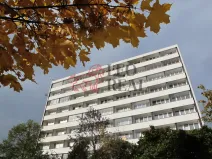 Prodej bytu 1+kk, Mladá Boleslav - Mladá Boleslav III, Jičínská, 38 m2