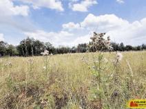 Prodej pozemku pro bydlení, Sebranice, 2000 m2