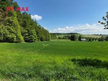 Prodej pozemku pro bydlení, Borová, 7429 m2