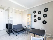Pronájem bytu 1+kk, Praha - Žižkov, Biskupcova, 22 m2
