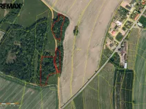 Prodej lesa, Spálov, 25088 m2