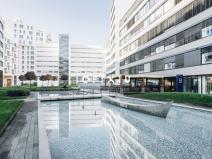 Pronájem obchodního prostoru, Brno - Staré Brno, Nové sady, 90 m2