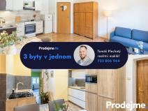 Prodej bytu 6+kk a větší, Znojmo, Palackého, 122 m2