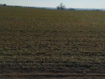 Prodej pozemku pro bydlení, Hrušovany nad Jevišovkou, 4538 m2