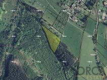 Prodej podílu lesa, Ústí nad Orlicí, 2174 m2