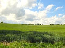 Prodej pole, Kyjov, 2649 m2