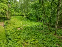 Prodej pozemku pro bydlení, Hrubá Skála, 5519 m2